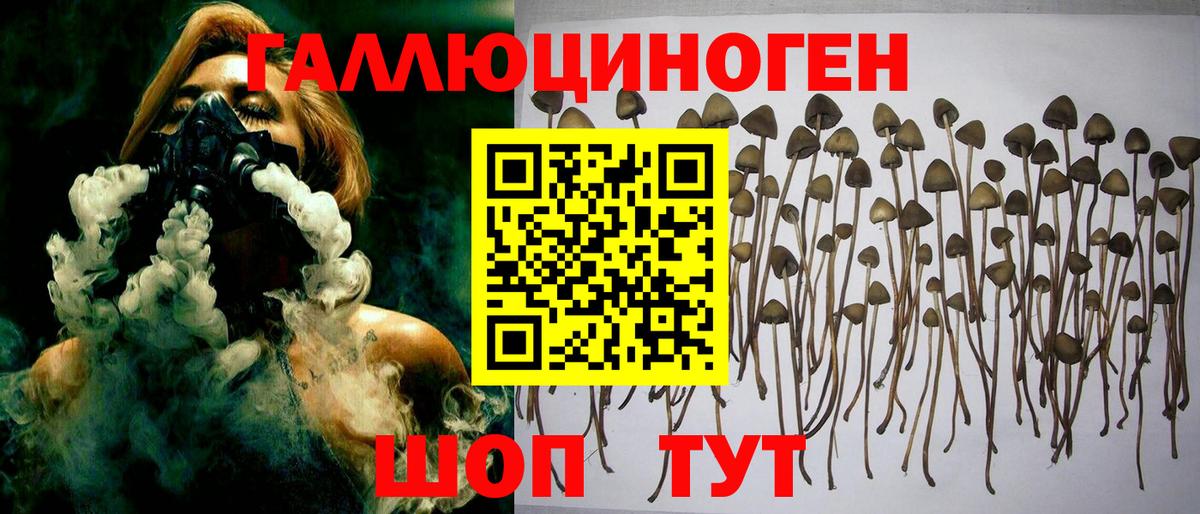 Галлюциногенные грибы мухоморы  где купить наркотик  Северобайкальск  Вход с VPN 