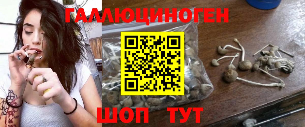 Псилоцибиновые грибы Cubensis Северобайкальск